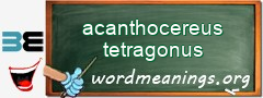 WordMeaning blackboard for acanthocereus tetragonus
